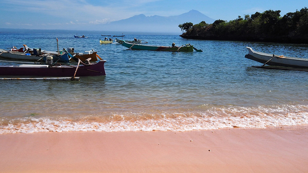 Lombok pink beach