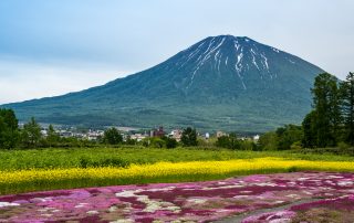 Mount Yotei