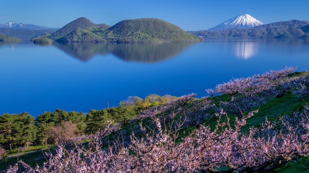 Plum trees and Lake Toya and Mt.Yotei