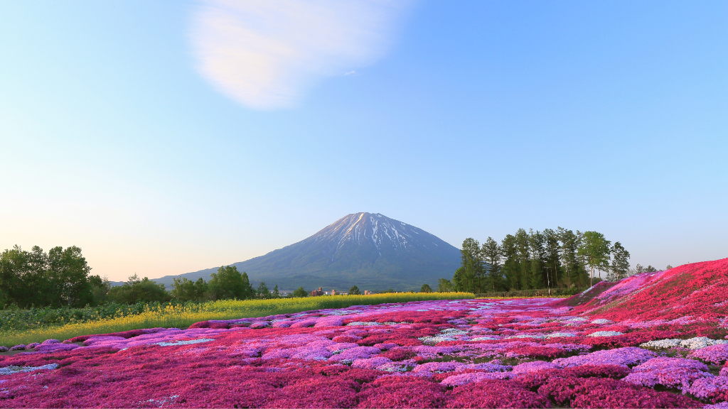 Mt Yotei - Niseko - Japan