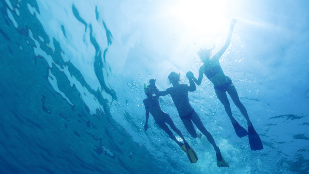 Family Snorkeling 